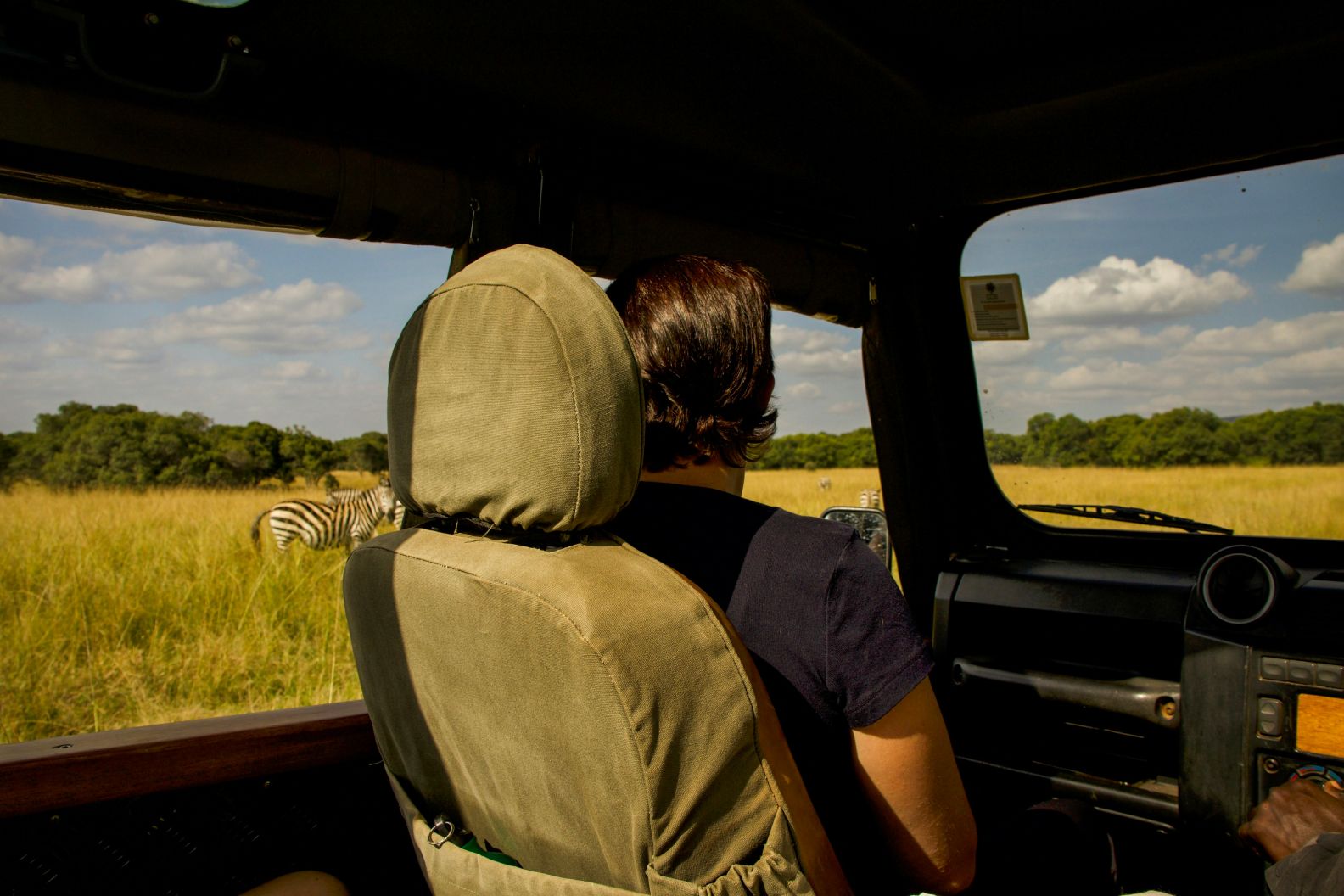A traveller in the back seat of a safari vehicle, Maasai Mara