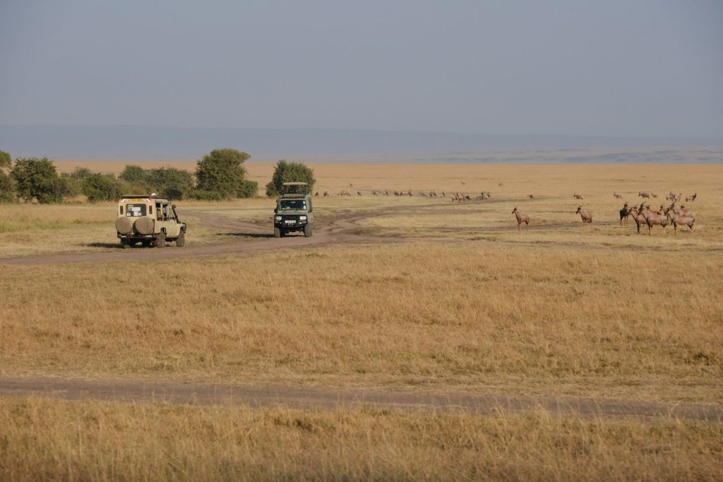 Two safari vehicles on a dirt road in the Maasai Mara